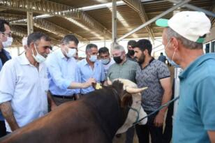 Vali Çiftçi ve Başkan Aşgın’dan hayvan pazarında inceleme