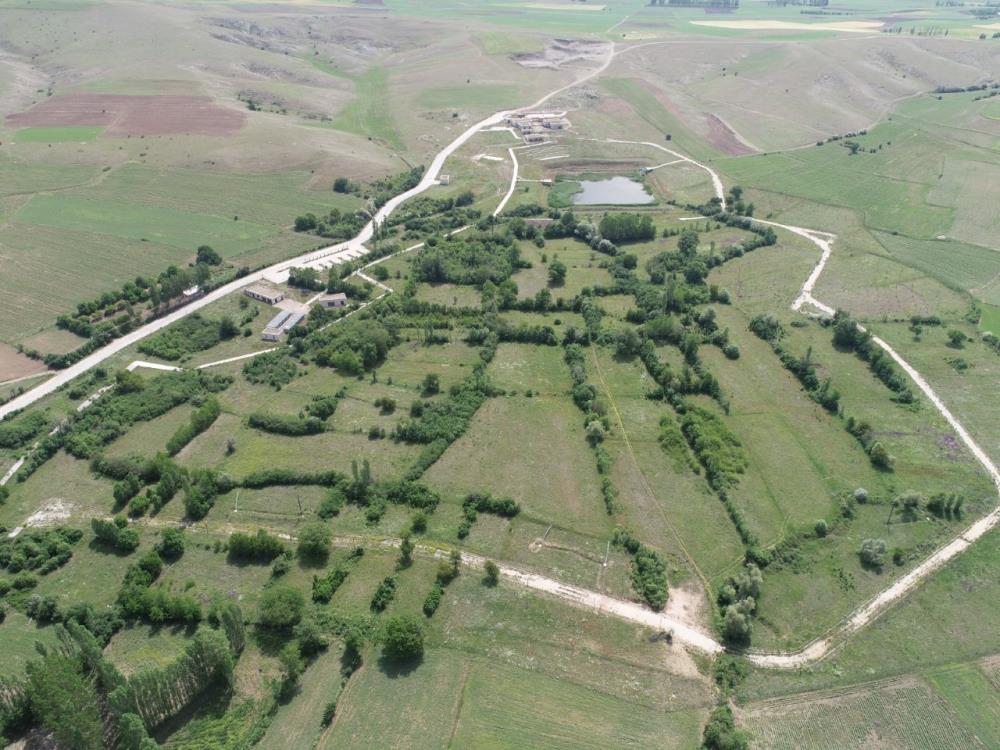 4 bin yıllık Hitit Barajının turizme kazandırılıyor