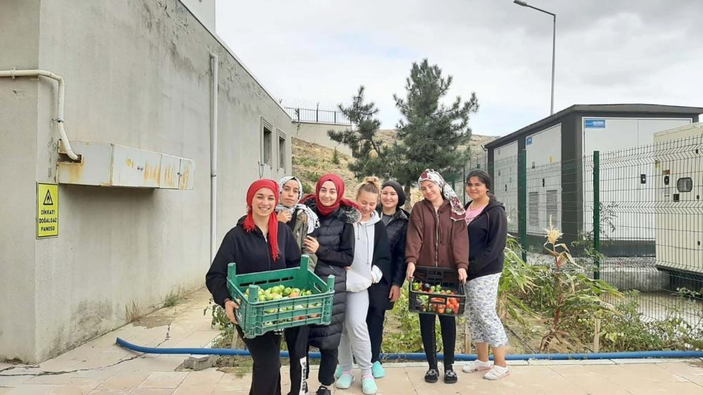 Yurt öğrencileri turşu yapımını geleneksel hale getirdi
