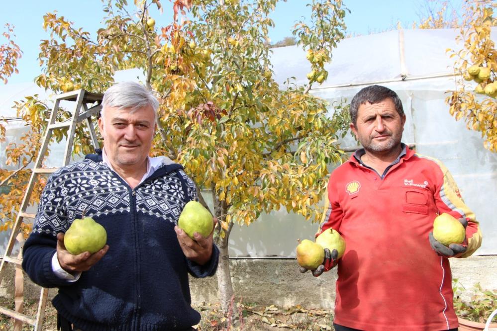 Çocukluk hayali gerçek oldu, yerleştiği köyünde bir ilki gerçekleştirdi