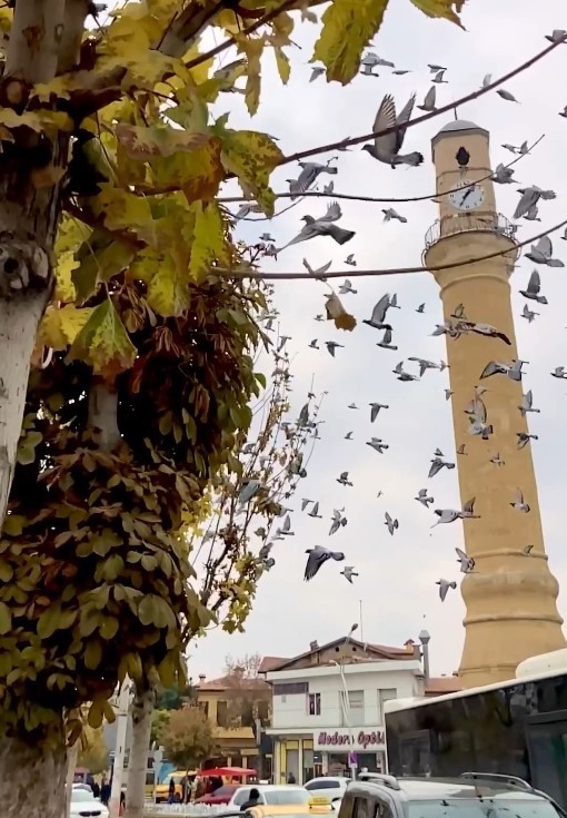 Çorum’da ”Sonbaharda Çorum” kısa video yarışması