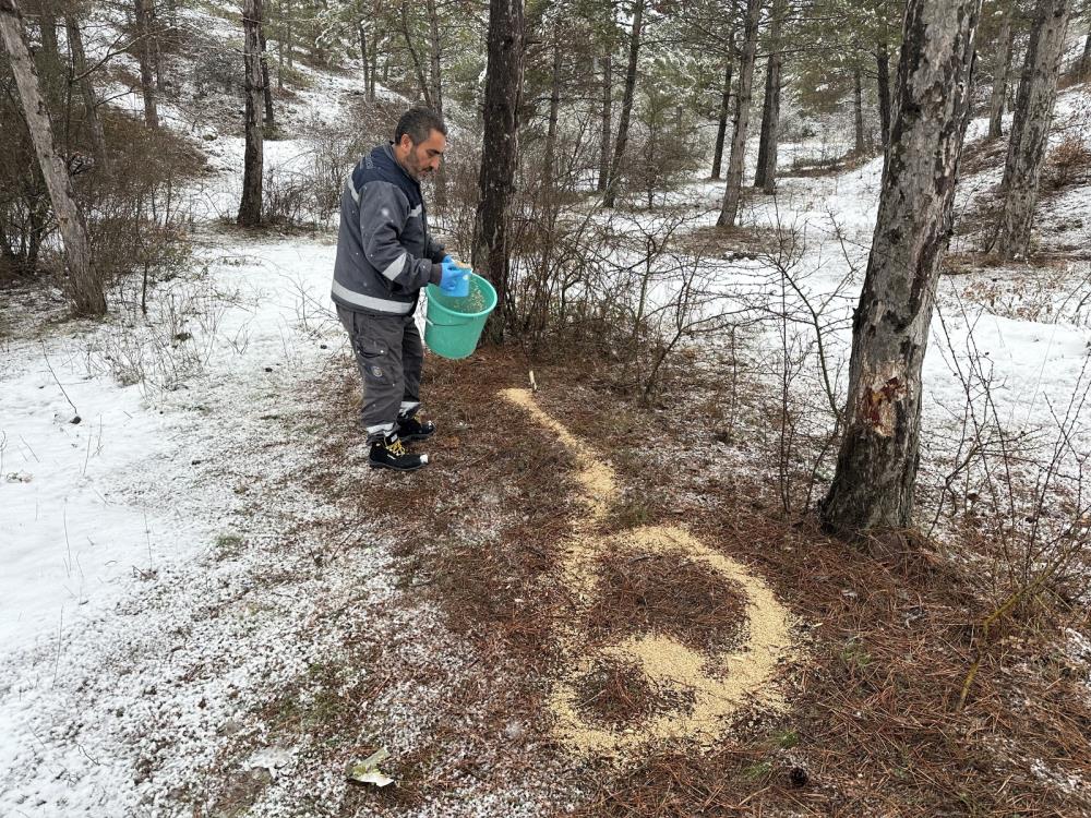 Çorum Belediyesi yaban hayvanları unutmadı
