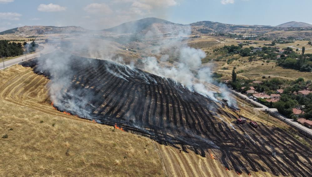 Çorum’da korkutan yangın : 40 dönüm arazi zarar gördü